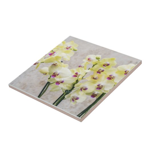 Elegant Romantic Cream & Lila Orchids Tegeltje (Zijkant)