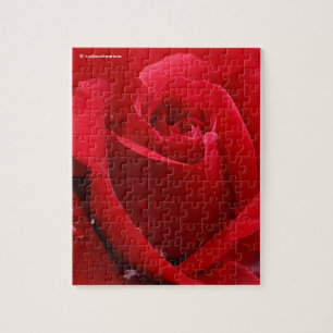 Elegant Romantic Red Rose Legpuzzel