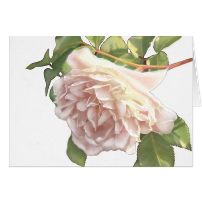 Elégant rose à fleurs blanc peachy orange foncé (Devant horizontal)