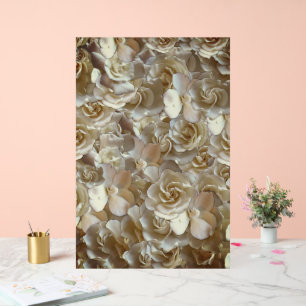 Élégant Rose floral Motif pétal