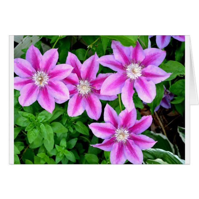 Élégant rose floral vert botanique (Devant horizontal)