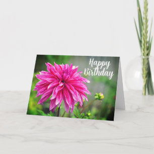 Elegant Roze Dahlia Tuin Bloem Kaart