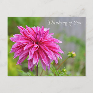 Elegant Roze Dahlia Tuin Bloemen Denken aan U Feestdagenkaart