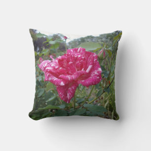 Elegant roze en wit gestreept Roos, kussen