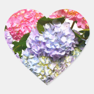 Elegant roze paarse blauw bloemenhortensia boeket hart sticker