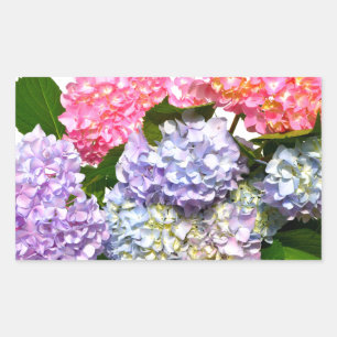 Elegant roze paarse blauw bloemenhortensia boeket rechthoekige sticker