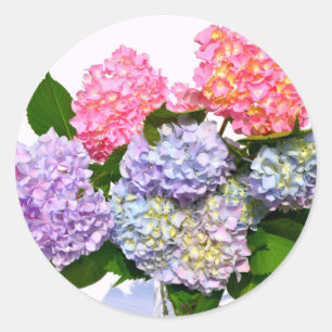Elegant roze paarse blauw bloemenhortensia boeket ronde sticker