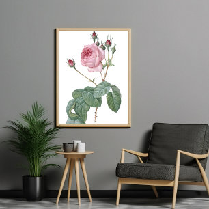 Elegant Roze Rose Botanische Kunst Poster