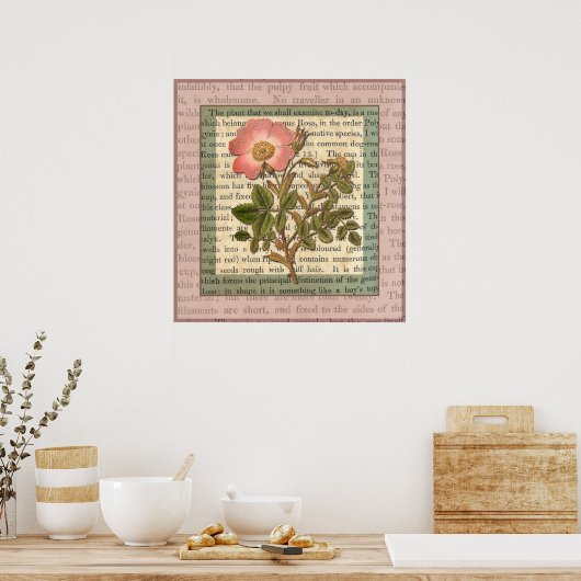 Elegant Roze Roze Antiek Collage Poster (Keuken)