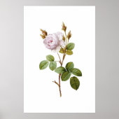 Elegant Roze Roze Botanische Printable Poster (Voorkant)
