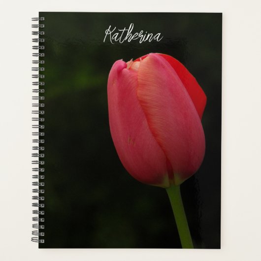Elegant roze Tulip-fotoscript op maat Planner (Voorkant)