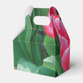 Elegant roze tulps Weddenschap Bedankdoosjes (Achterkant)