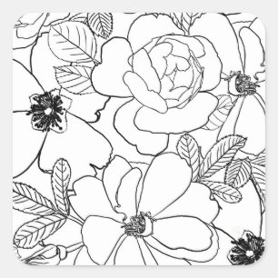 Elegant Rozen Floral Line Tekening Vierkante Sticker