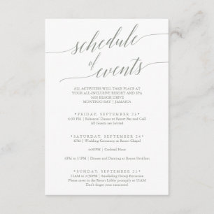 Elegant Sage Green Wedding Schedule of Events Informatiekaartje