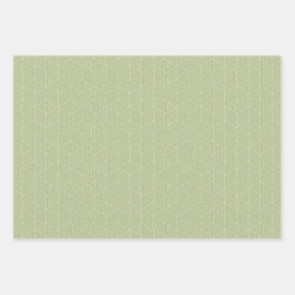 Elegant Sage groen eenvoudig en minimaal cadeau Inpakpapier Vel