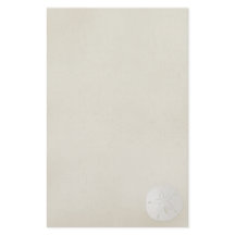 Elegant Sand Dollar Briefpapier 2