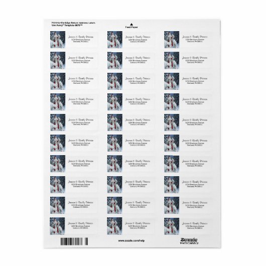 Elegant Santa Claus en Polar Beren Kerstmis Etiket (Full Sheet)