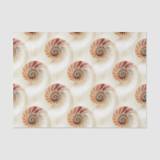 Elegant Shell Pattern Tissuepapier (Voorkant)
