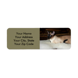 Elegant Siamese Cat Etiket