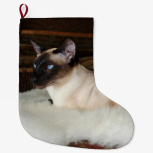 Elegant Siamese Cat Grote Kerstsok
