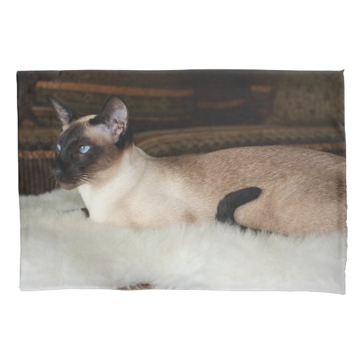 Elegant Siamese Cat Kussensloop (Voorkant)