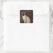 Elegant Siamese Cat Vierkante Sticker (Tas)