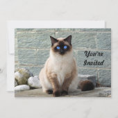 Élégant Siamese Chat Photo Anniversaire Invitation (Devant)