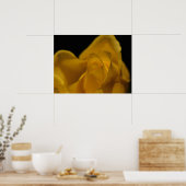 Elegant Single Yellow Rose close up Poster (Keuken)