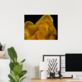Elegant Single Yellow Rose close up Poster (Thuiskantoor)