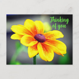 Elegant Single YellowOrange Flower Thinking of You Briefkaart