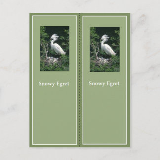 Elegant Snowy Egret Bladwijzer Briefkaart