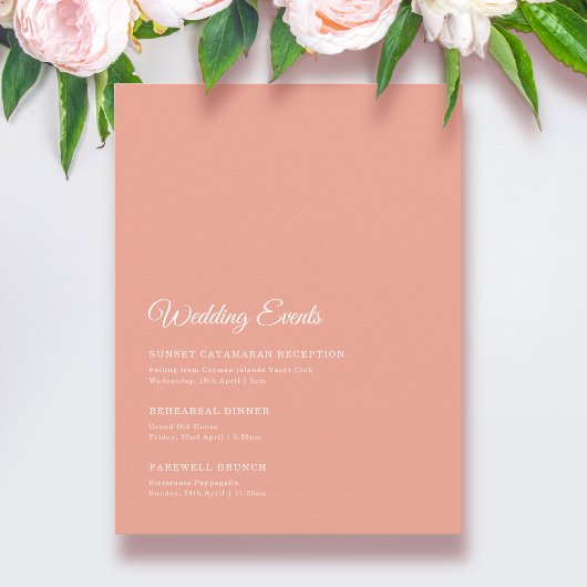 Elegant Solid Peach Wedding Weekend Informatiekaartje