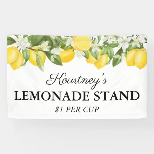 Elegant Summer Lemonade Stand Banner (Horizontaal)