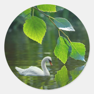 Elegant Summer Swan Ronde Sticker