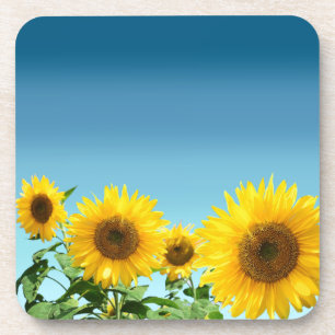 Elegant Sunflower op Sky Blue Shades Bier Onderzetter