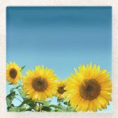 Elegant Sunflower op Sky Blue Shades Glazen Onderzetter (Voorkant)