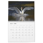 Elegant Swans Kalender (Mar 2026)