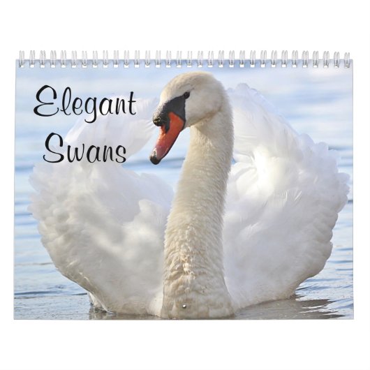 Elegant Swans Kalender (Hoes)