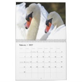 Elegant Swans Kalender (Feb 2027)
