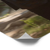 Elégant tableau de sièges mariage photo 20 tables (Coin)