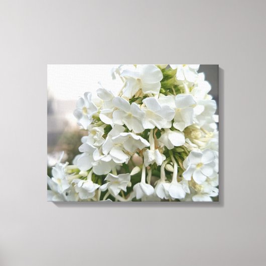Élégant tableau sur toile de fleurs d'hortensia bl (Recto)