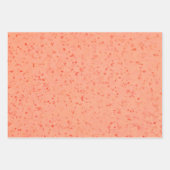 Elegant Terrazzo Retro Oranje roze textuurpatroon Inpakpapier Vel (Voorkant 3)