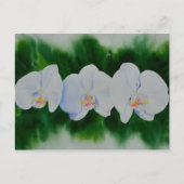 Elegant tropisch wit waterverf orchidee schilderij briefkaart (Voorkant)