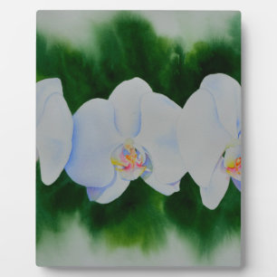 Elegant tropisch wit waterverf orchidee schilderij fotoplaat
