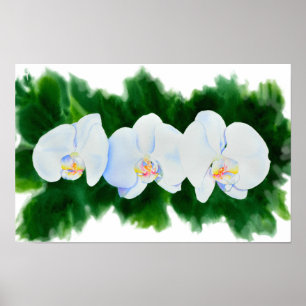 Elegant tropisch wit waterverf orchidee schilderij poster