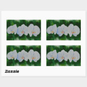 Elegant tropisch wit waterverf orchidee schilderij rechthoekige sticker (Vel)