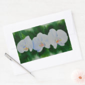 Elegant tropisch wit waterverf orchidee schilderij rechthoekige sticker (Envelop)