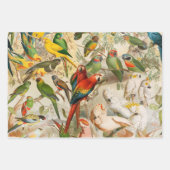 Elegant  Tropische Vogelparrots Inpakpapier Vel (Voorkant)