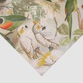 Elegant  Tropische Vogelparrots ontkoppelen Tissuepapier (Detail)