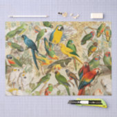 Elegant  Tropische Vogelparrots ontkoppelen Tissuepapier (Craft)